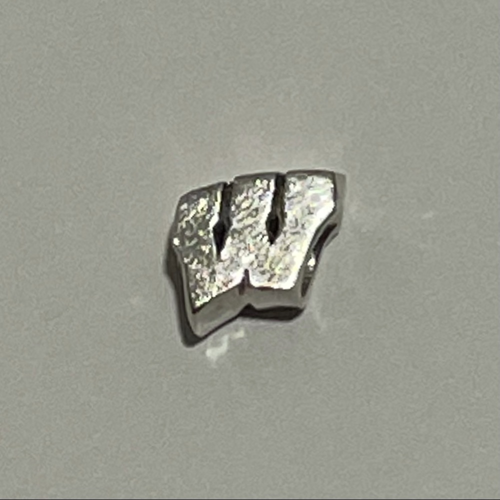 Wisconsin Badgers Charm